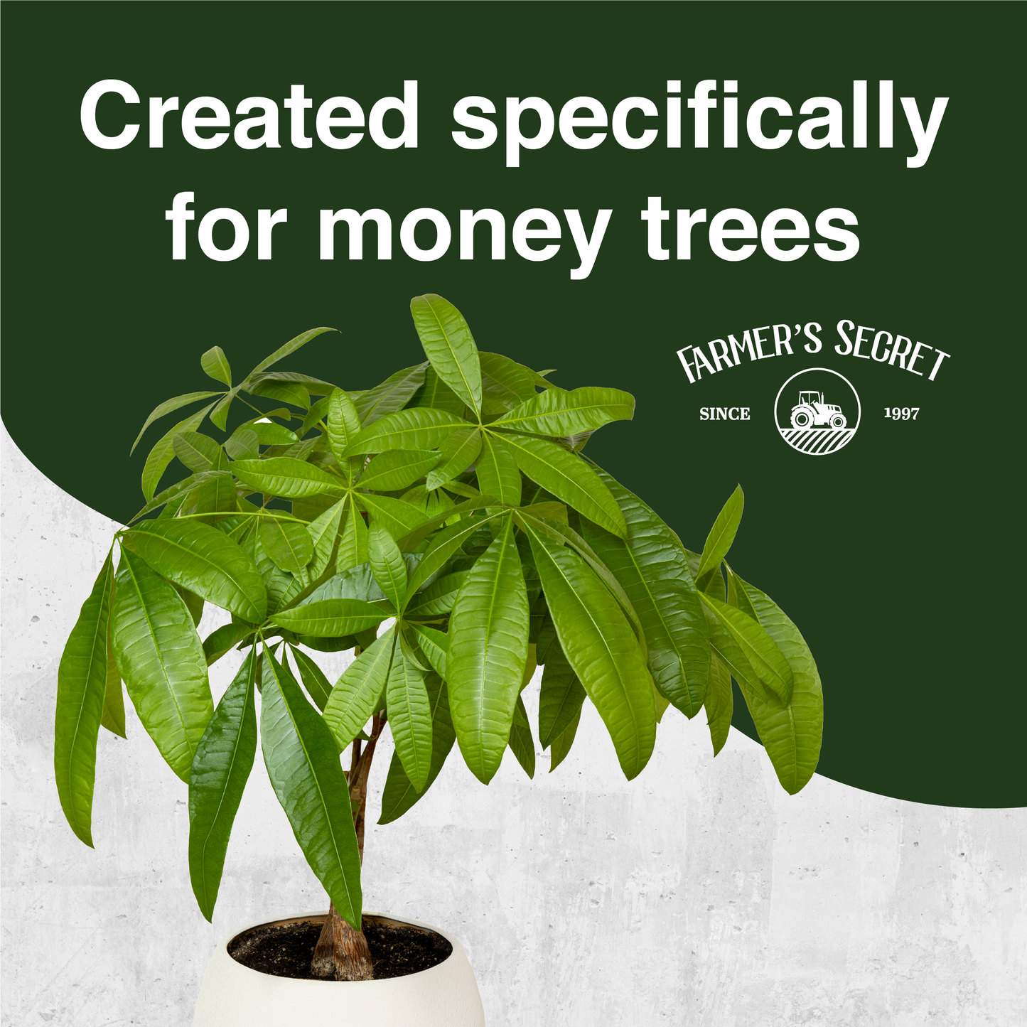 Money Tree Plant Food 8oz