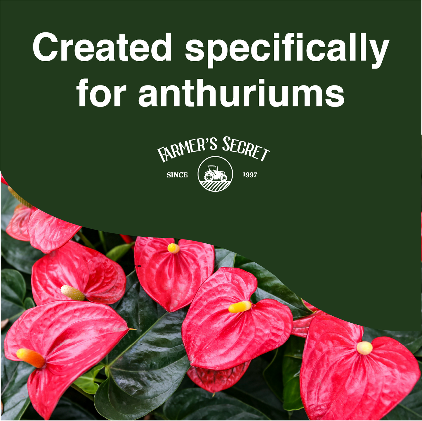 Anthurium Plant Food 8oz
