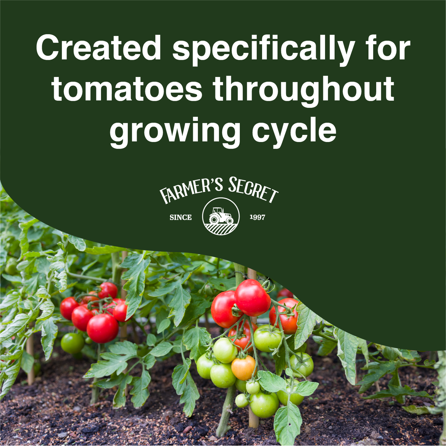 Tomato Booster