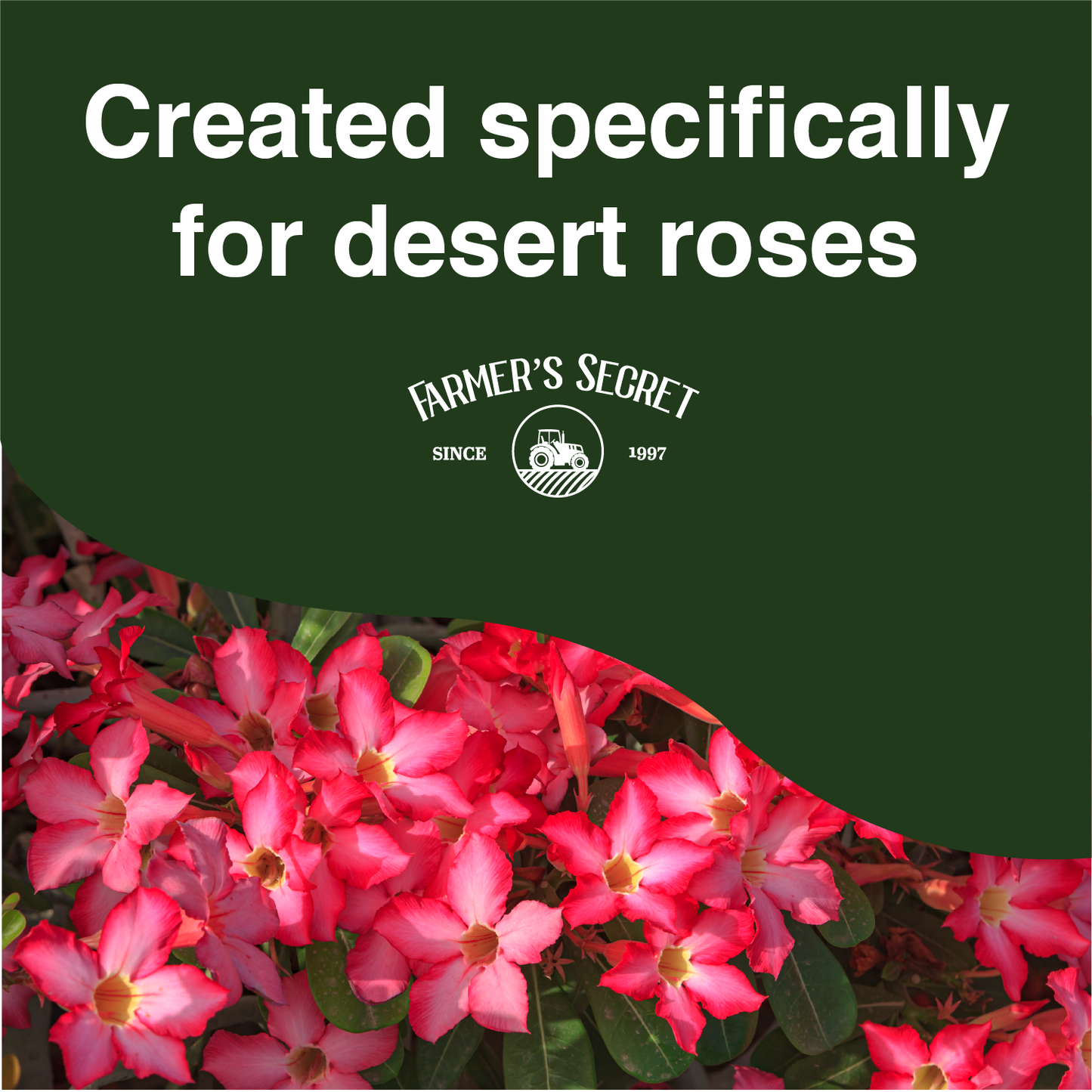 Desert Rose Plant Food 8oz