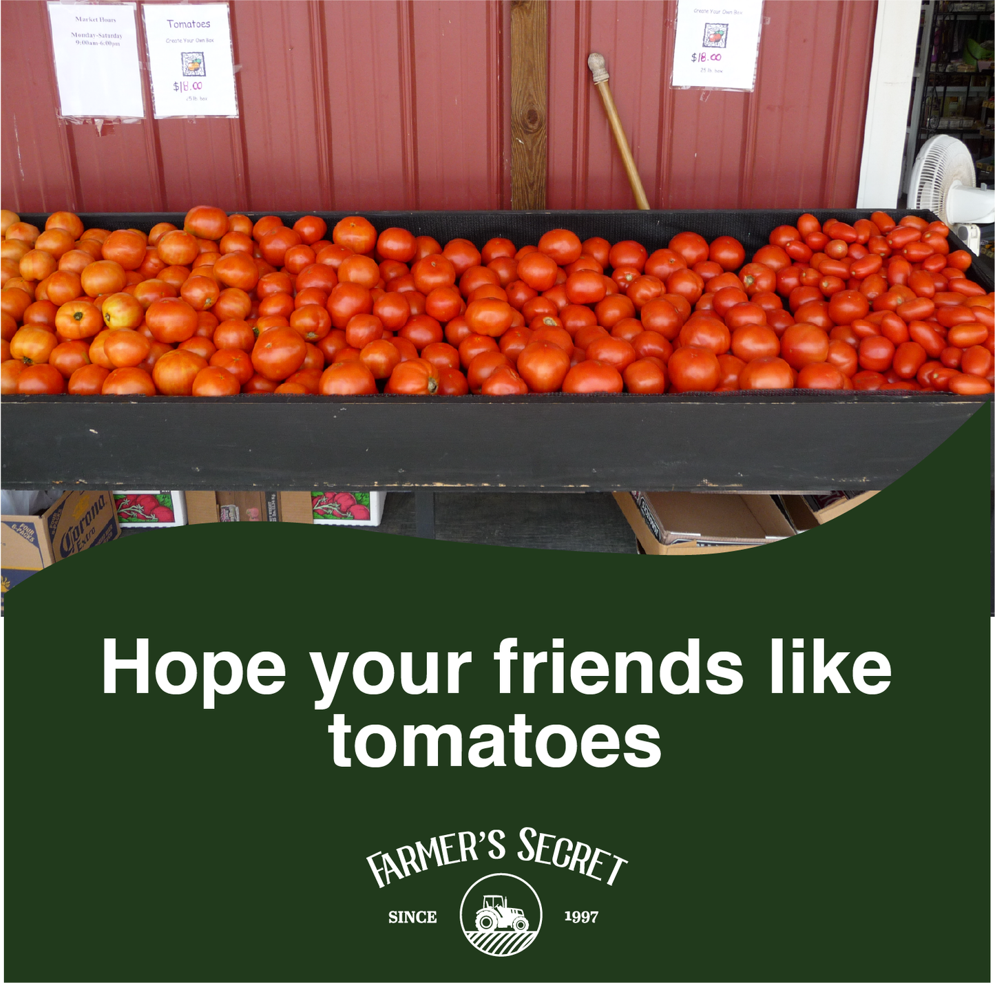 Tomato Booster