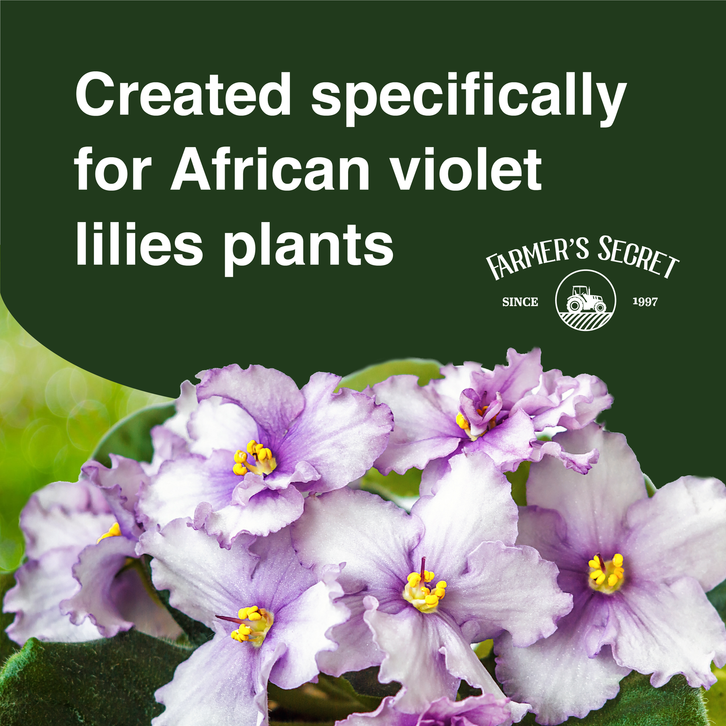 African Violet Lily Plant Food 8oz