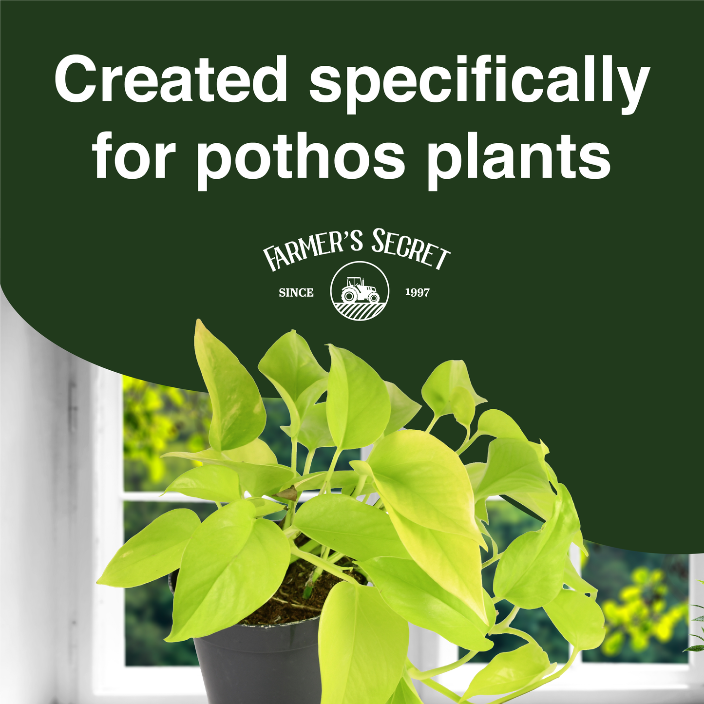 Pothos Plant Food 8oz