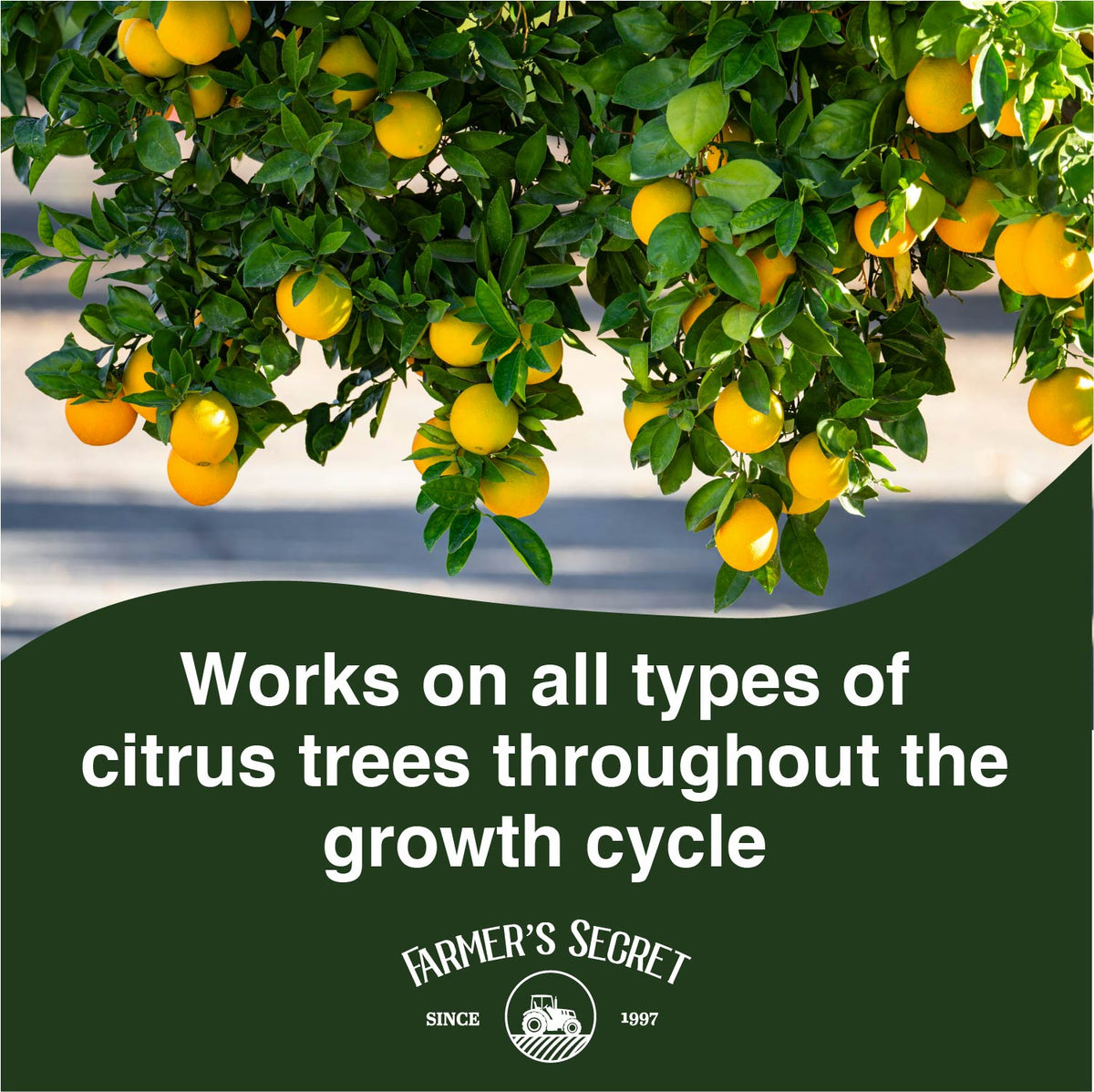 Citrus Tree Booster – Farmer's Secret