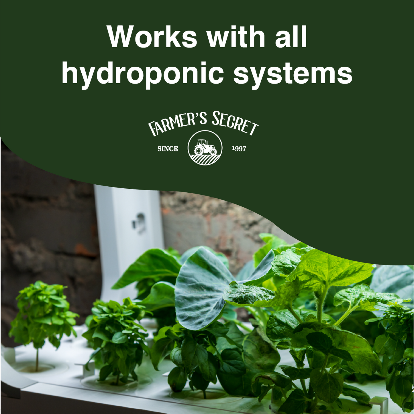 Hydroponic Booster