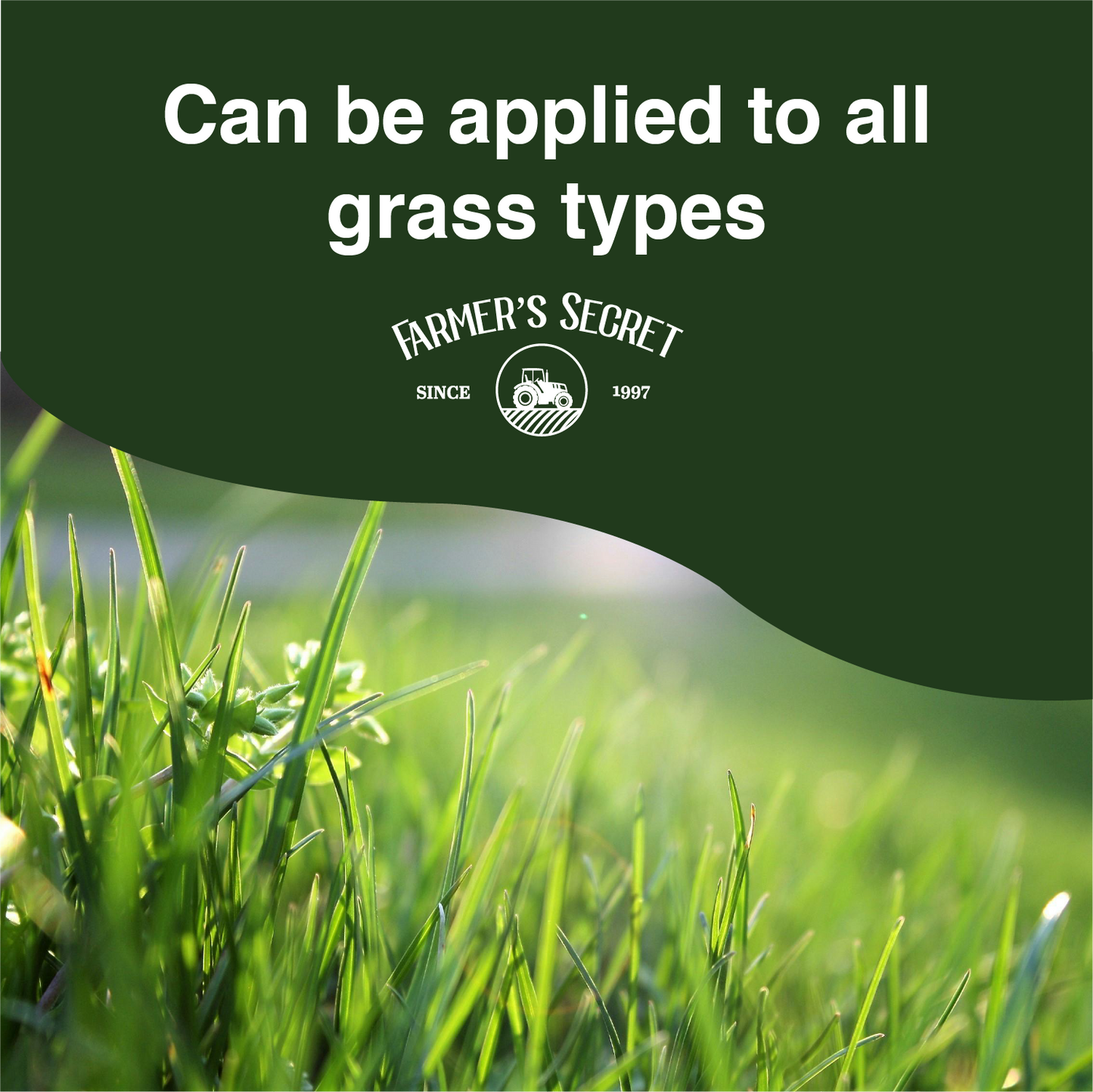 Lawn Booster