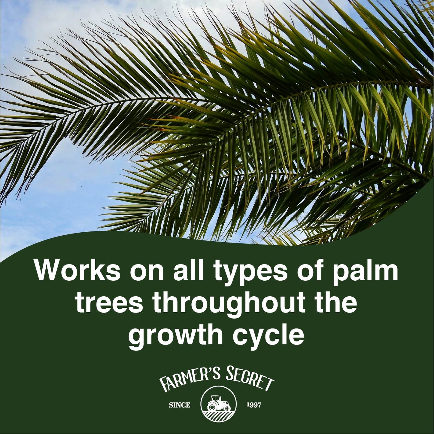 Palm Tree Booster
