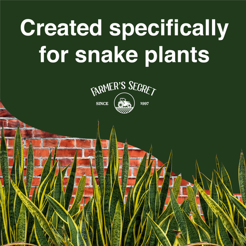Snake Plant Food 8oz – Farmer's Secret