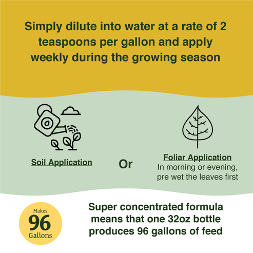 Tomato Booster – Farmer's Secret