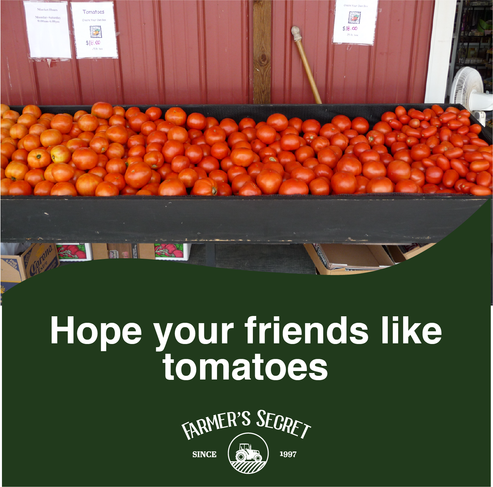 Tomato Booster – Farmer's Secret