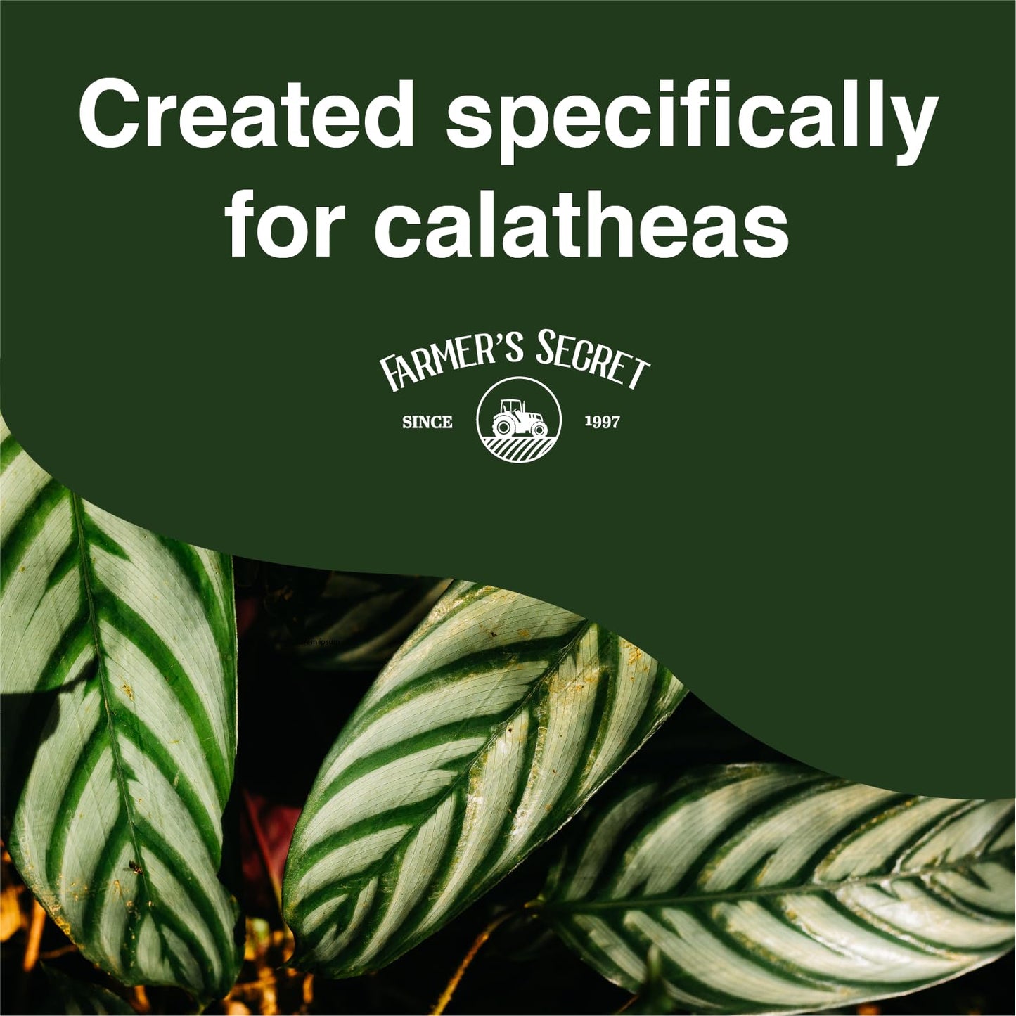Calathea Plant Food 8oz