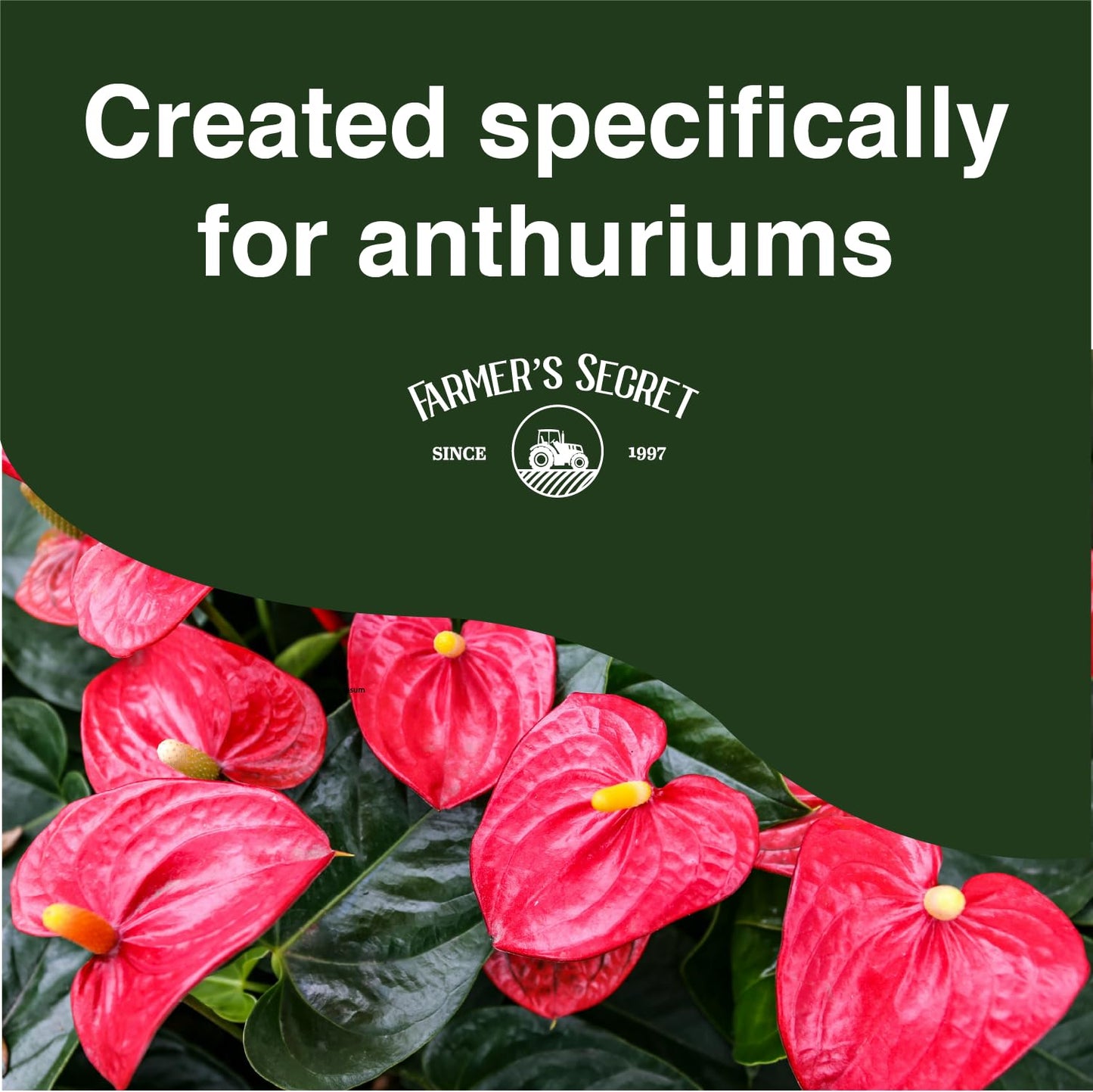 Anthurium Plant Food 8oz